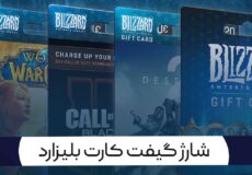در پایان پس از شارژ موفقت آمیز گیفت کارت، می‌توانید از موجودی خود برای خرید بازی ها و آیتم های درون بازی در پلتفرم Blizzard استفاده نمایید.